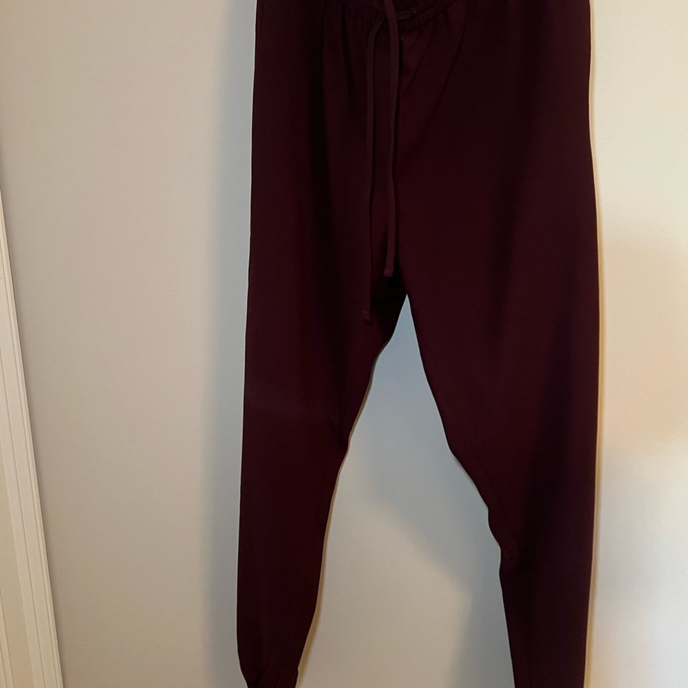 Express Men's Deep Burgundy Joggers